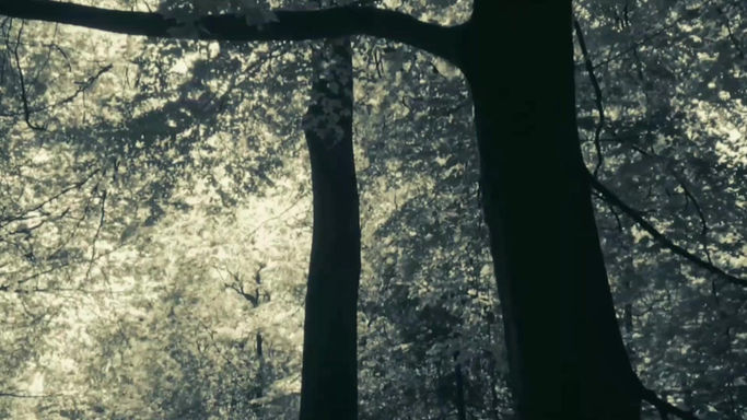 O vulcão de Nova Iguaçu, texto de Priscilla Menezes e videopoema de Thais Grootveld.